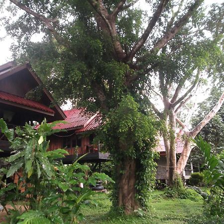 Hotel Bamboo House Khao Sok National Park Exteriér fotografie
