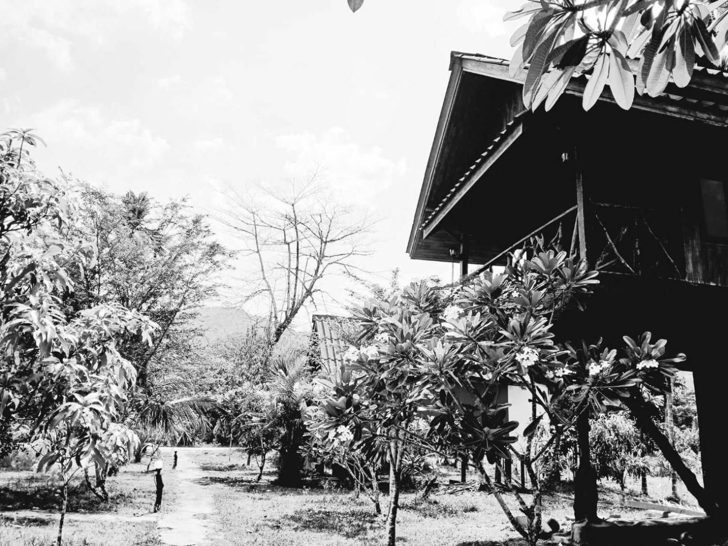 Hotel Bamboo House Khao Sok National Park Exteriér fotografie