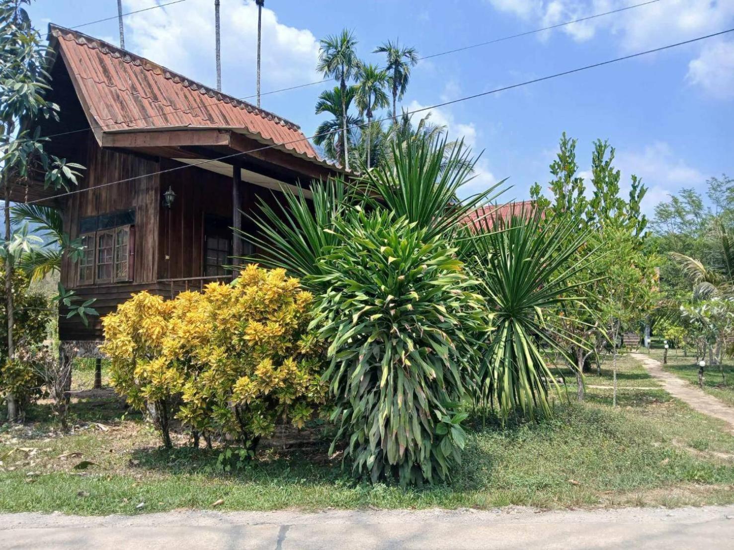 Hotel Bamboo House Khao Sok National Park Exteriér fotografie