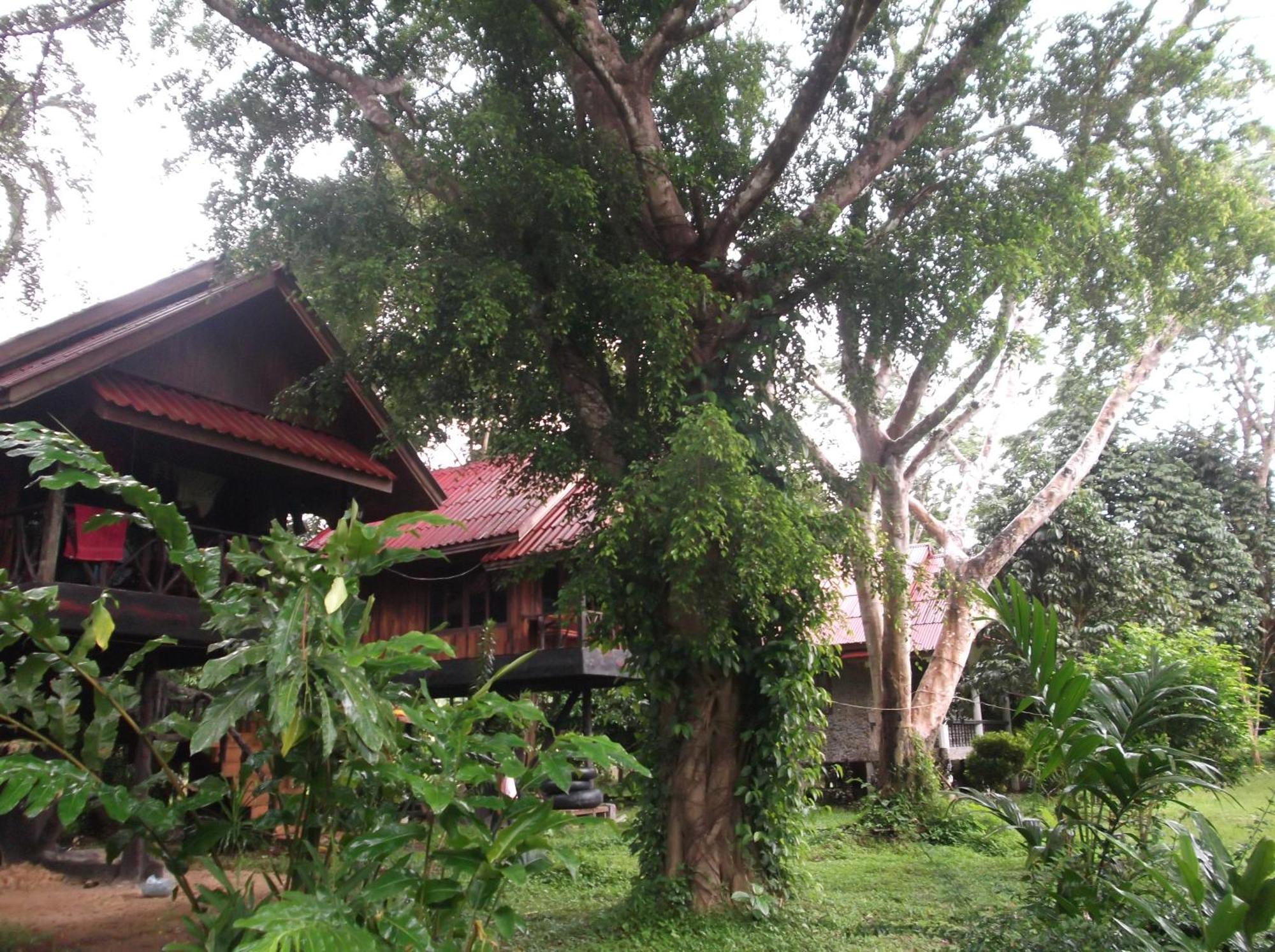 Hotel Bamboo House Khao Sok National Park Exteriér fotografie