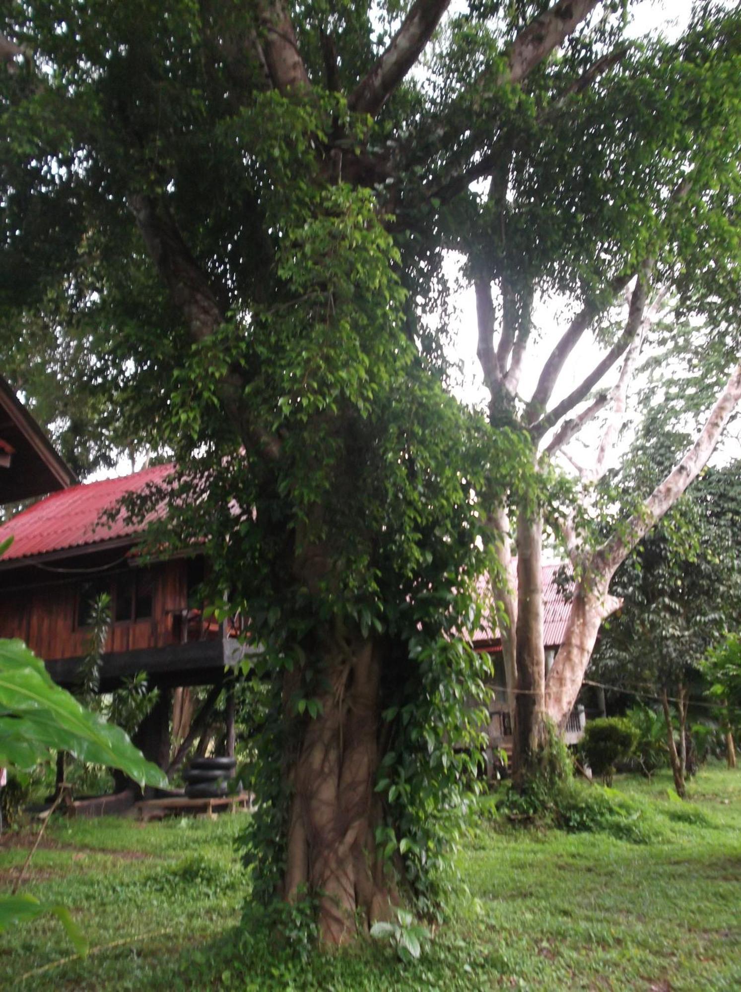 Hotel Bamboo House Khao Sok National Park Exteriér fotografie